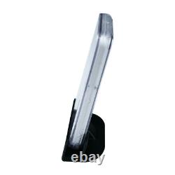 (250) Coin Slab Holder Display Stand PCGS NGC Case Storage Box Plastic ICG