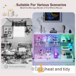 47W Large Display Case with RGB Lights, Glass Display Cabinet with Glass Doors