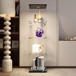 4-Shelf Glass Display Cabinet withLED & Lock, Curio Cabinets Display Case Storage