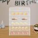 5-tier Acrylic Display Case Bakery Pastry Countertop Showcase 18.78.4624.4in