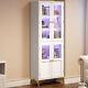 65 Inch Storage Cabinet With Led Lights Tall Display Cabinet Bookcase With Doors