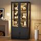 67 Display Cabinet With Acrylic Doors, Led Curio Bookcase Trophy Case Storage