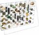 Adjustable Acrylic Display Case Clear Wall Mounted Or Desktop 35 Room Storage Ca