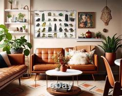 Adjustable Acrylic Display Case Wall or Desktop 35 Room Storage Collectibles