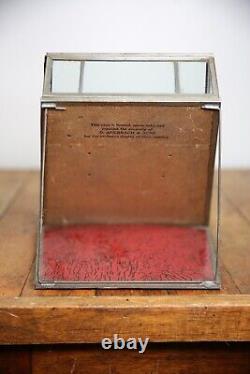 Antique Auerbach & Sons Candy Showcase General Store Glass Display Case Cabinet