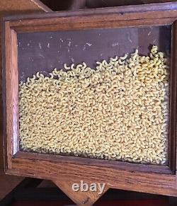 Antique Country / General Store Oak Seed Cabinet Rare single size open bin LOOK