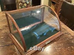 Antique Vtg Curved Glass Counter Store Display Cabinet Priwley Chewing Gum Prop