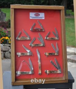 Case Knife Store Display Retail Case With 9 Knives Amber Bone Stockman