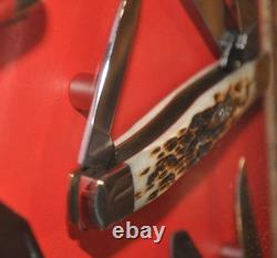Case Knife Store Display Retail Case With 9 Knives Amber Bone Stockman