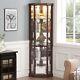 Corner Lighted Curio Glass Cabinet Display Case Antique Collection Storage