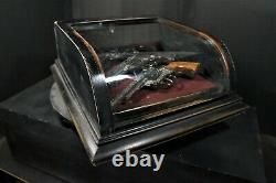 Countertop display case, 1/4 glass, removable display tray + storage