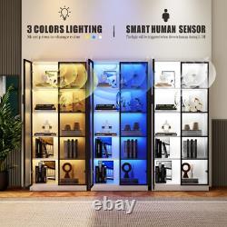 Display Cabinet with Doors and Adjustable Shelves, 65 Bookcase with LED Lights
