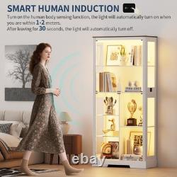 Display Cabinet with Glass Doors, Curio Cabinet with LED Lights for Collectibles