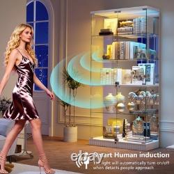 Display Cabinet with RGB Lights, Curio Cabinet Display Cases for Collectibles