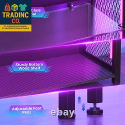 Display Case with LED Lights, Display Cabinet with Glass Storage Shelves, 4-Tier