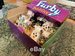Furby Buddies Variety Pack in RARE Store Display Case Rare Lot ABSOLUTELY MINT
