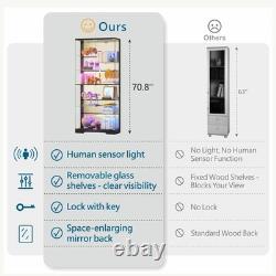 Gurexl Glass Display Cabinet with RGB Light, 10-Tier Lockable Clear Display Case