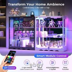 Gurexl RGB Display Curio Cabinet with Glass Doors & Adjustable Shelf for Figures