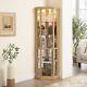Lighted Curio Cabinet Display Case, Corner Glass Cabinet Withadjustable Shelves