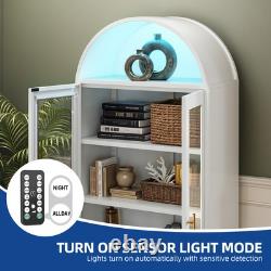 Metal Arched Glass Display Storage Cabinet Lights Collectibles Organizers Rack