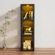 Naizea Tempered Glass Display Shelf Showcase Lockable Cabinets Collection Case