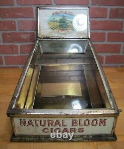 NATURAL BLOOM CIGARS Old Cigar Store Display Case Tin Litho Sign PROPERTY OF