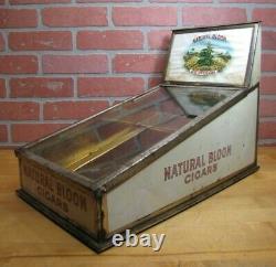 NATURAL BLOOM CIGARS Old Cigar Store Display Case Tin Litho Sign PROPERTY OF