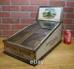 NATURAL BLOOM CIGARS Old Cigar Store Display Case Tin Litho Sign PROPERTY OF