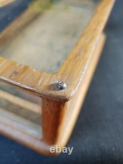 Rare Antique General Store King Collar Button Small Display Showcase