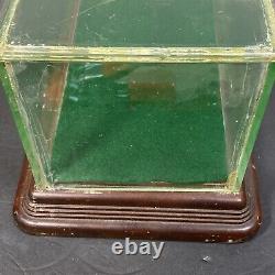 Small Antique Wood Glass Store Display Case Showcase Box