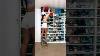 Sneaker Tower Display Shorts