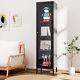Steel Display Cabinet With 3c Tempered Glass Adjustable Shelf Curio Storage Case