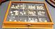 Vintage General Store Countertop Display Case King Collar Studs & All Contents