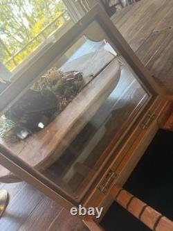 WÜSTHOF Wooden Knife Storage Display Case Glass Top